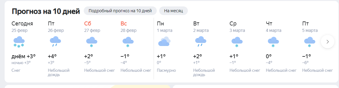 погода в сарове на 10