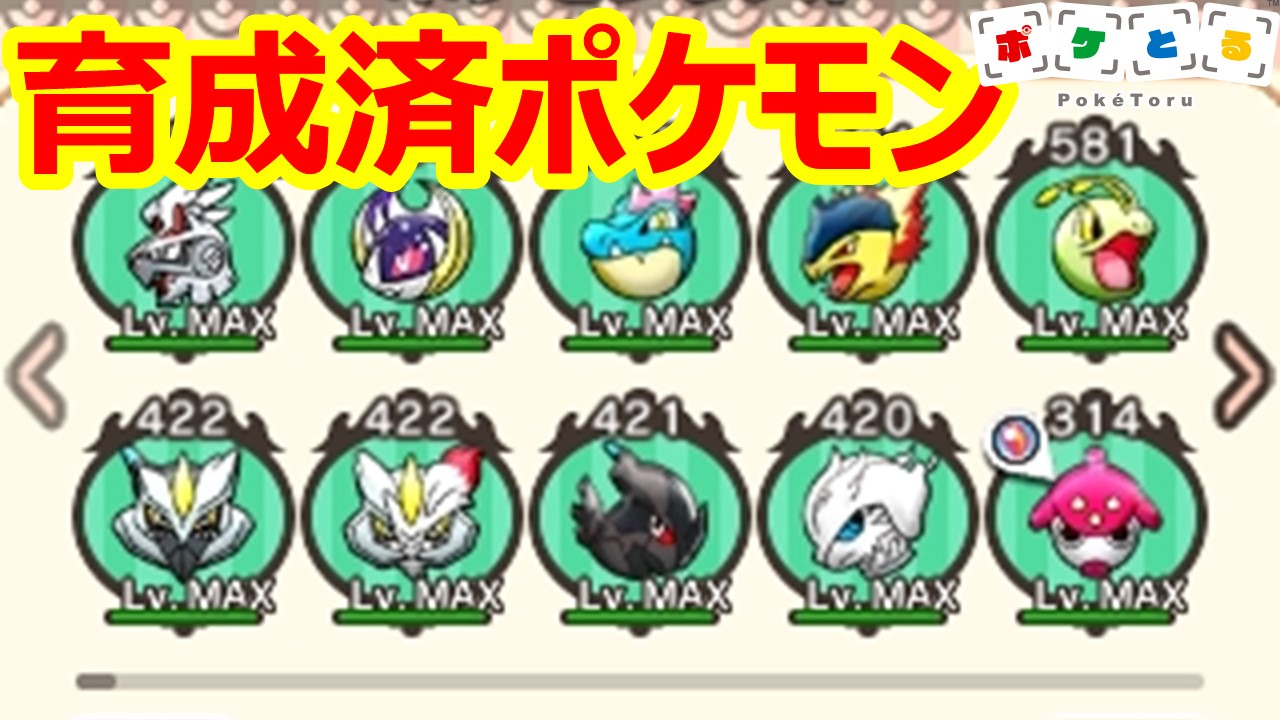 ふるってぃ 21 2 25 ポケとる 育成済みポケモン紹介 メイン機 サブ機 Pokemon Shuffle T Co Hyqg1ibgdh 以前より要望いただいていた育成済みポケモン紹介動画を公開しました あくまでも参考程度にしていただければ幸いです ポケとる