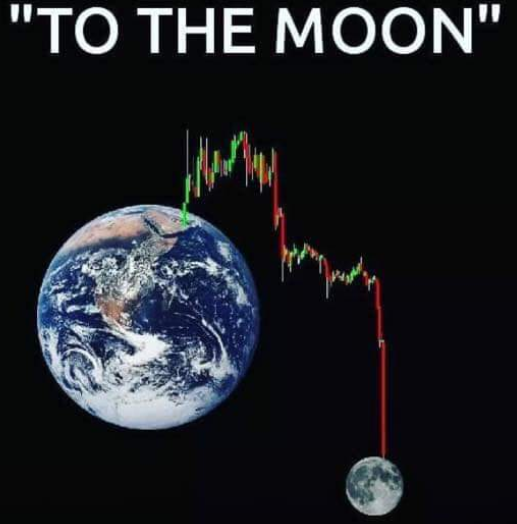 pagacdenis's tweet photo. @elonmusk https://t.co/sdSnV6CYMv