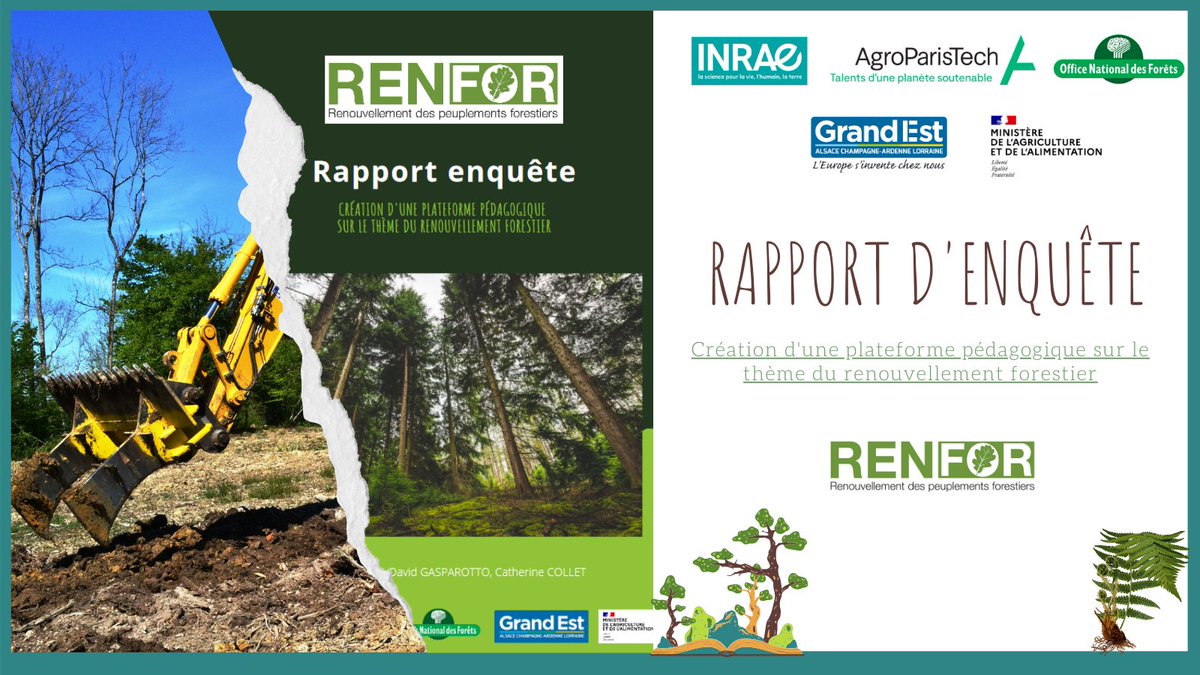 projet_pif's tweet photo. Une enquête a été réalisée par #renfor afin d'évaluer les attentes et les besoins des formateurs du secteur #forestier dans le cadre de la création d'une plateforme pédagogique ouverte sur #renouvellementforestier @INRAE_Nancy @AgroParisTech @ONF_Officiel https://t.co/FAqsQ2lWhf https://t.co/x10tu1kX3g