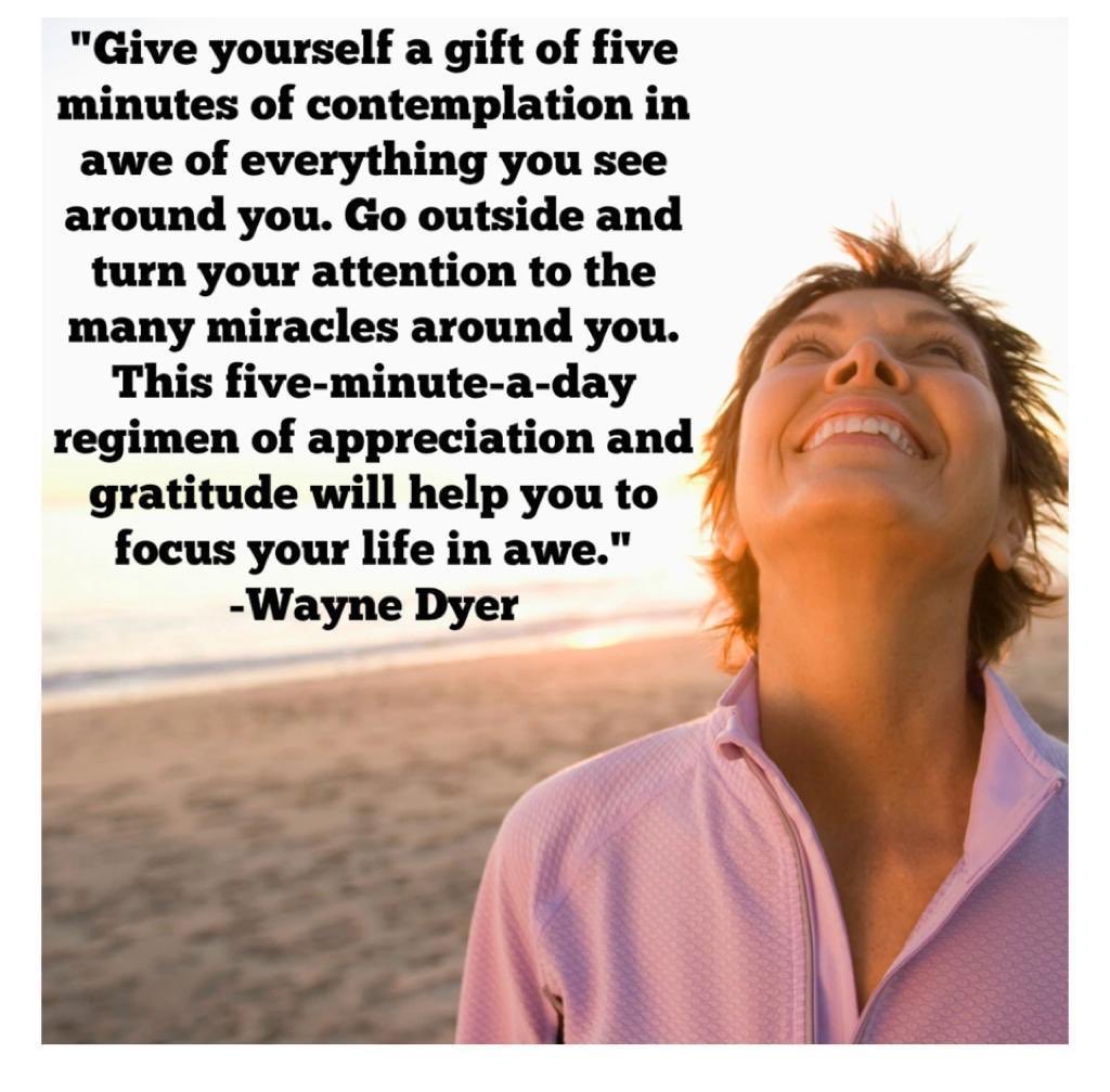 Daily Gratitude tweet media