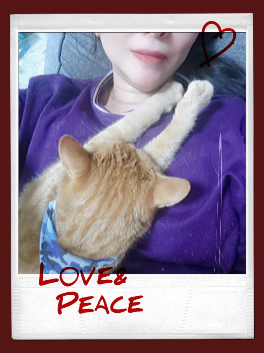 この子は、ママを温かいベッドだと勘違いしとるな😘
#猫好きさんと繋がりたい