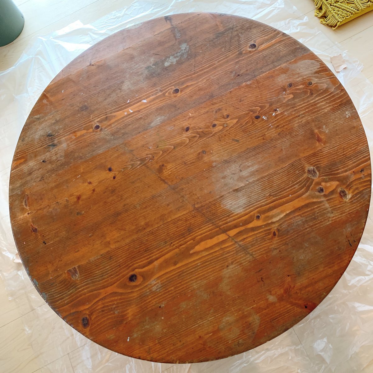 大学の時から使ってた先輩達にもらったちゃぶ台をヤスってニス塗ってきれいにした 谷口 菜津子のイラスト