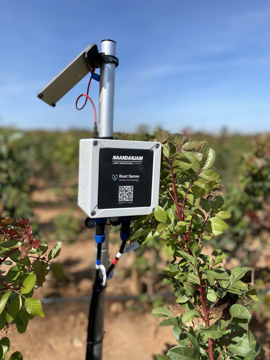 NaanDanJainES's tweet photo. 💡 ¡Ayudamos al agricultor a regar de manera cómoda, precisa y eficiente!
🔝 #Rootsense recopila datos del potencial hídrico de la zona radicular y al microclima y los convierte en alertas y recomendaciones que llegan al móvil o web del usuario.
https://t.co/Na1SJ0Xsoh https://t.co/Ix67YEVwFr