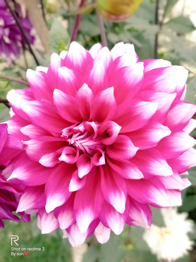 NeogiSun's tweet image. 