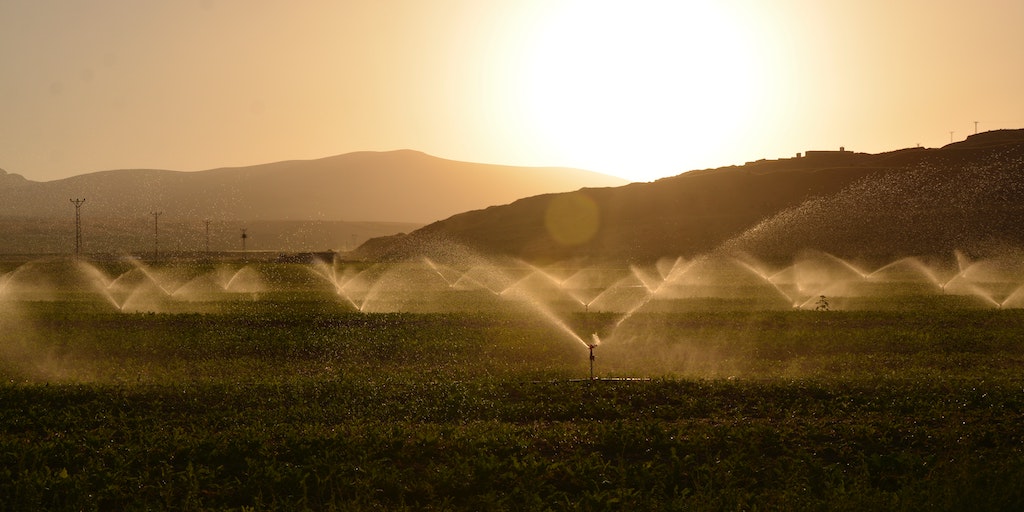 FertilizerNews's tweet photo. #DYK that combining mineral and organic fertilizers is the best method for increasing soil carbon sequestration on farmland? 🤔
Learn more about the environmental benefits of Integrated Plant Nutrient Management with our paper.
#IPNM
👉 https://t.co/eY7ZDoTdQ3 https://t.co/ERo7OZTv8h