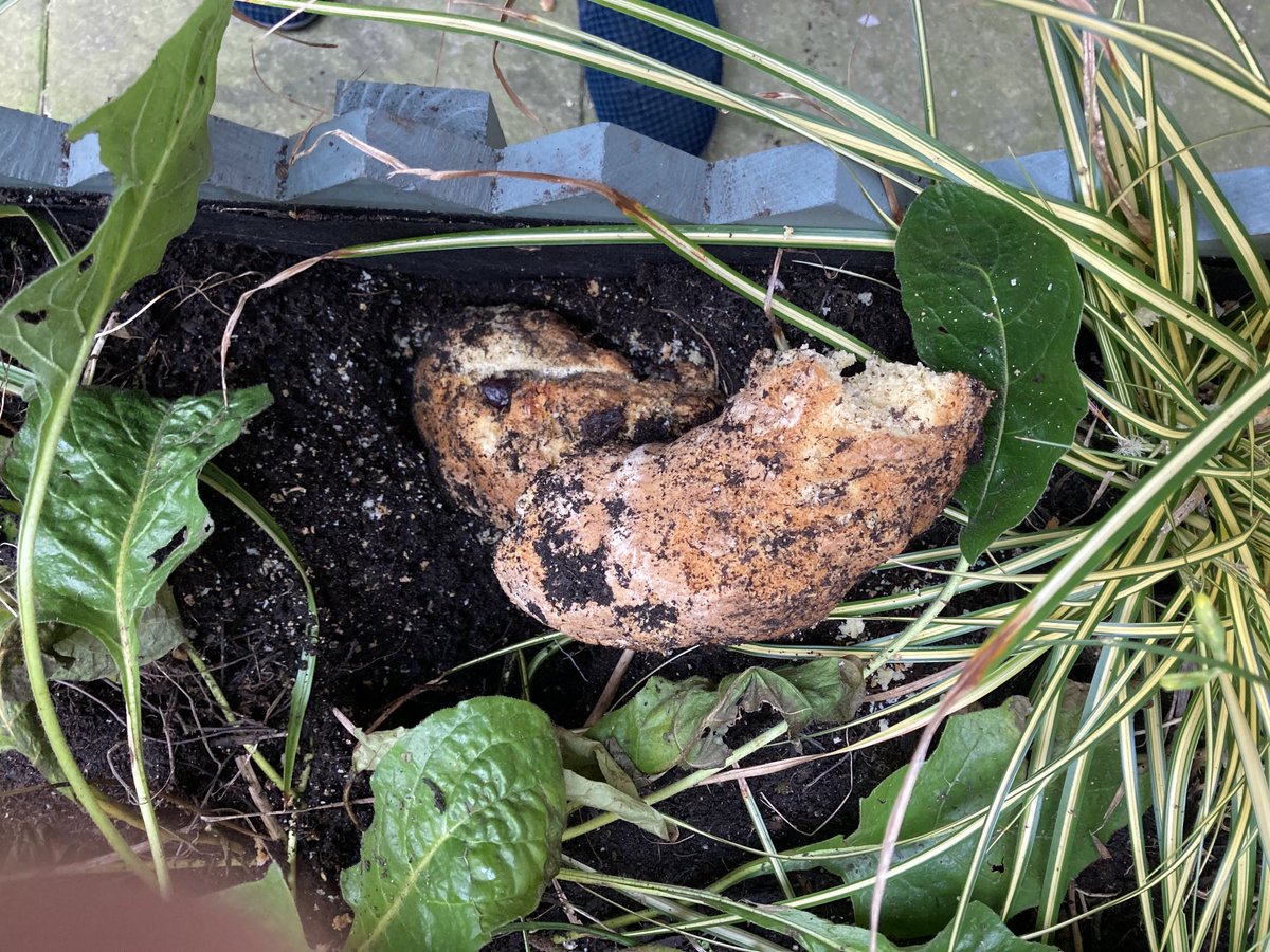 Ash Knotek tweet media