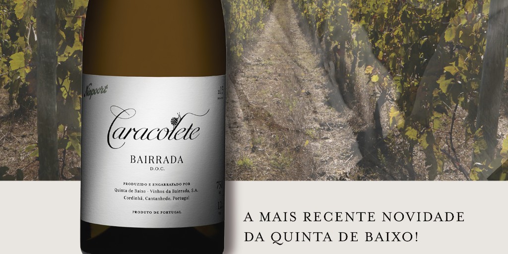 Caracolete is the latest Quinta de Baixo wine to be announced. “Give it time” - this is the key to understanding this Bairrada wine which is born from old vines. It is fermented for 5 years, hence the name Caracolete (Little Snail). #QuintadeBaixo #Bairrada #oldvines