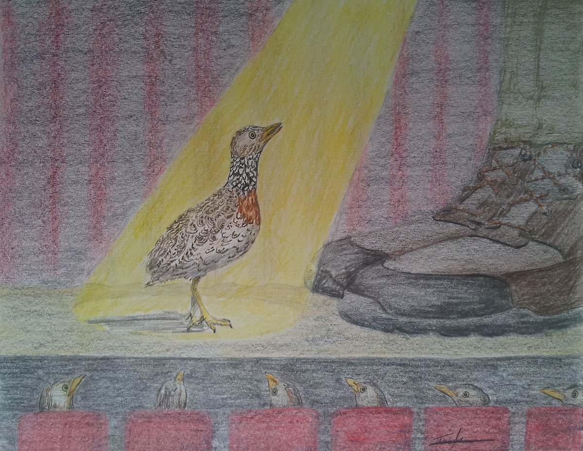 keene_chemistry's tweet photo. The @BirdlifeOz ones are for the comedy articles written by the person behind @FeckBird . I also draw aircraft and being a chemist @ucdchemistry , I do the occasional journal graphic in pencil. https://t.co/brkgUDZtD4