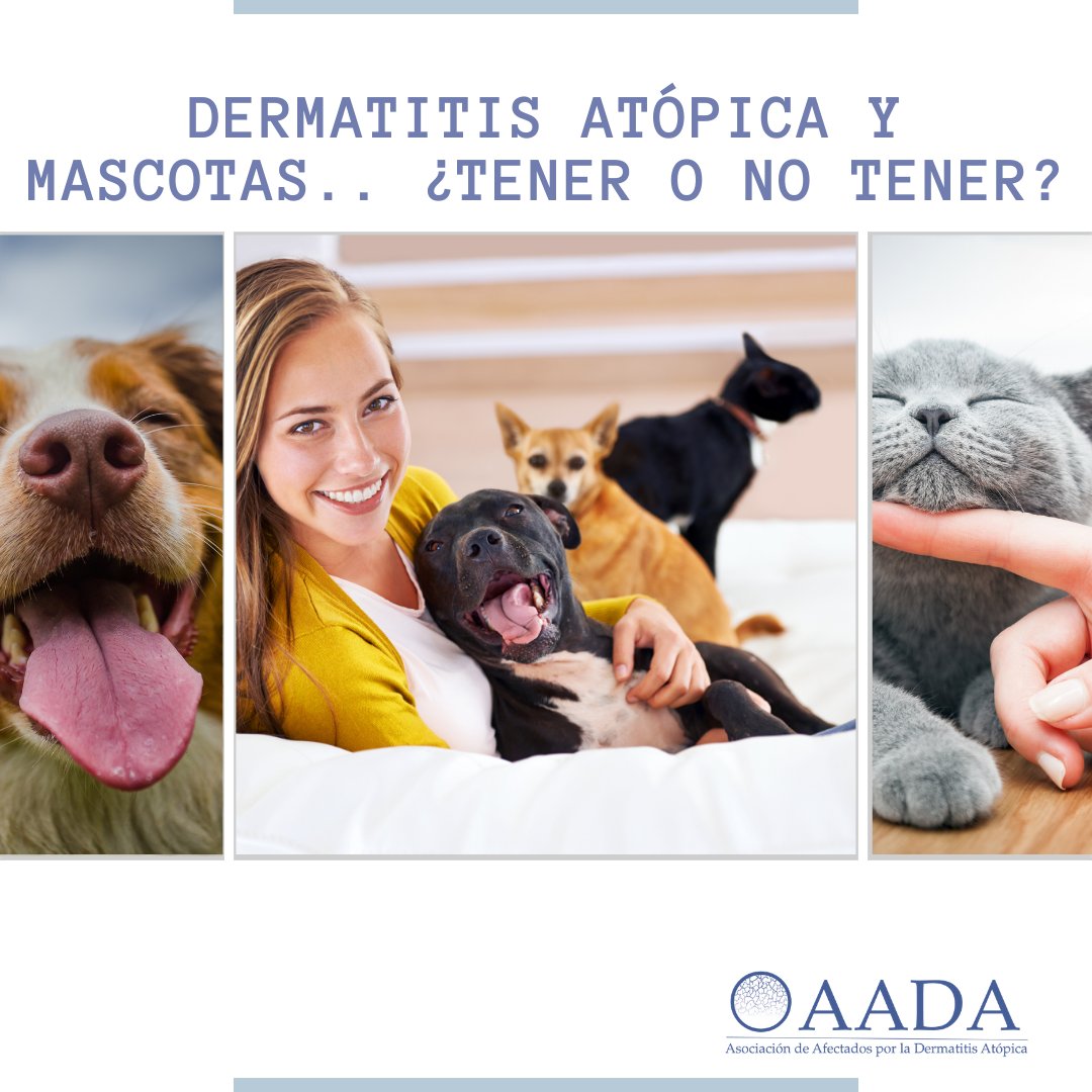somosAADA's tweet photo. El pelo de mascotas puede producir brotes de #dermatitisatopica. Se deberán tener las siguientes precauciones:

1️⃣No dormir en misma habitación

2️⃣ Habitaciones + frecuentadas deben ser ventiladas

3️⃣ La mascota debe ser aseada 

4️⃣ Cojines en los que reposan lavados y aspirados https://t.co/kJVkluevAA
