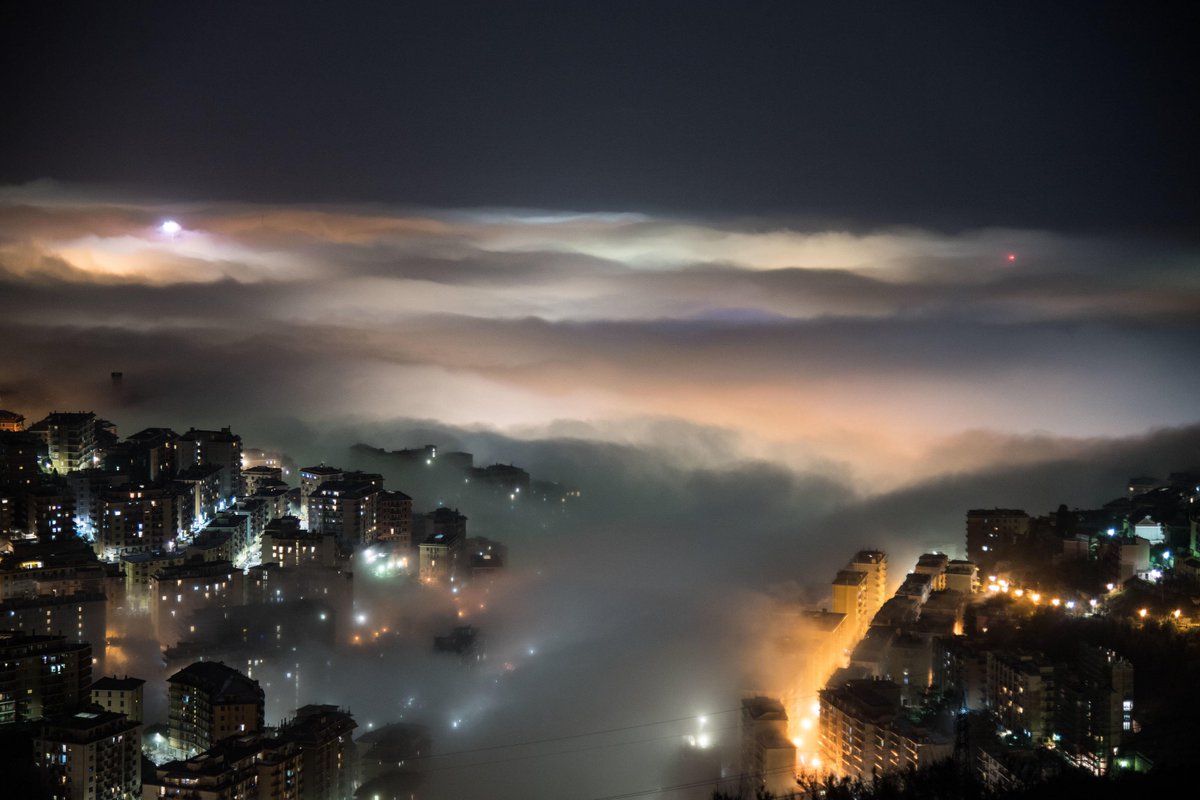 Lumsanews on Twitter: "Una fitta nebbia è arrivata dal mare calando sulla città di #Genova. Caligo è il nome scientifico di questo effetto #meteo molto raro in Italia. #Lumsanews (Foto ANSA)… https://t.co/Cox9ZG3mQ1"