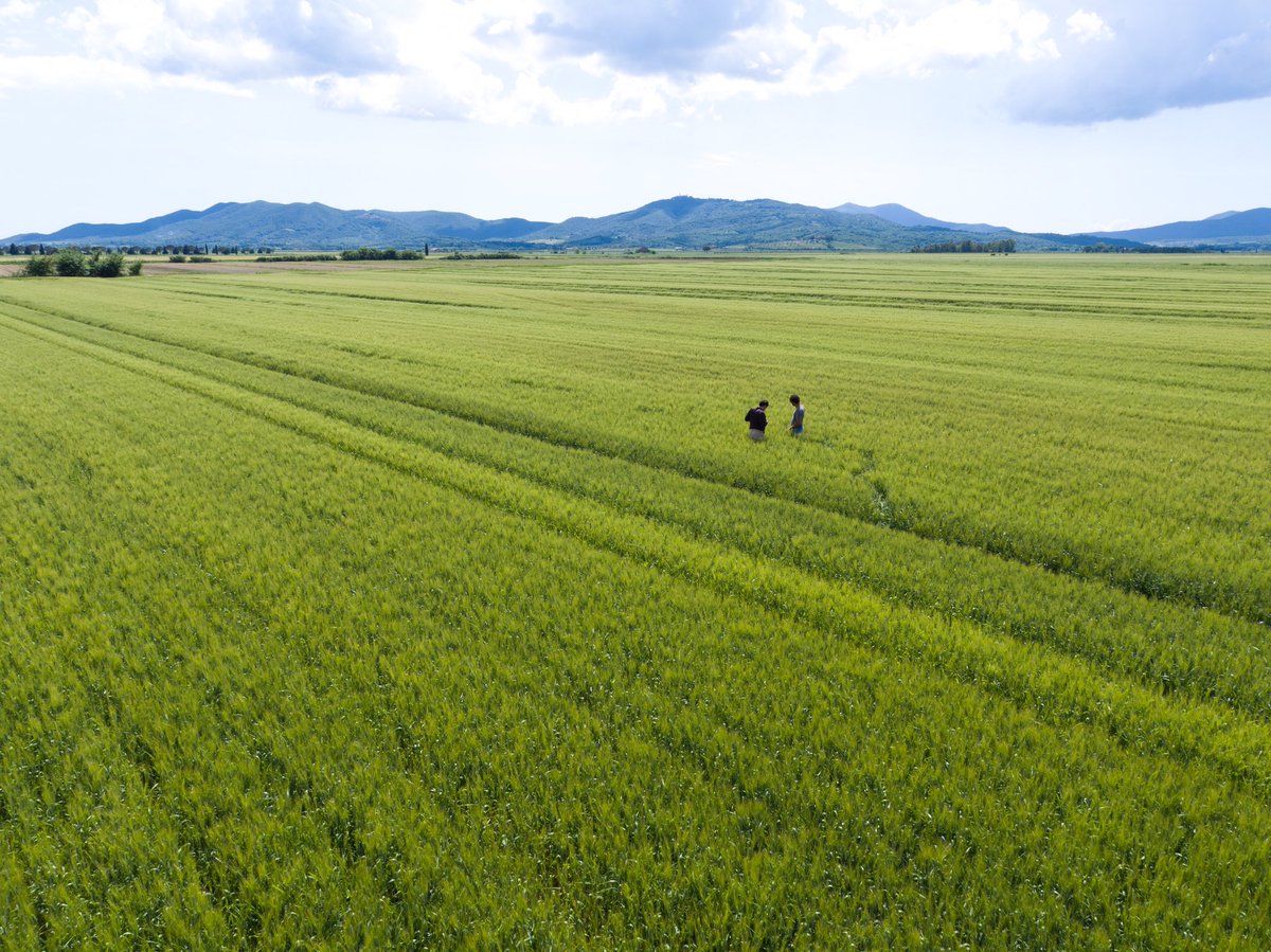 Bayer Italia tweet media
