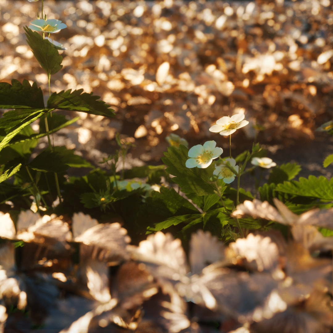 aixterior's tweet photo. Mini Series "Precious Gardening" Part 2 - taking a closer look at those strawberries. If you want to get the asset too head over to https://t.co/C2c9Q1ys4c -> Browse -> Search for "fragaria"

#rendering #3d #asset #digitalnature #photogrammetry #scan #maps #textures #design #game https://t.co/5Ilx5nT0Wl