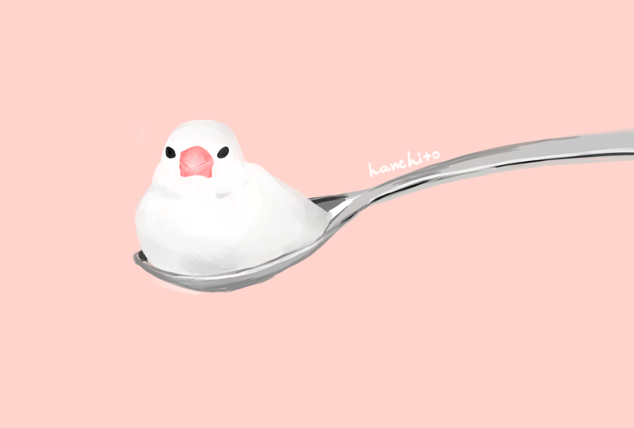 しらうはねひと デザイナー とても小さい文鳥 ティースプーンを想定して描きました イラスト 文鳥 鳥 T Co Ow5nz7jmll Twitter