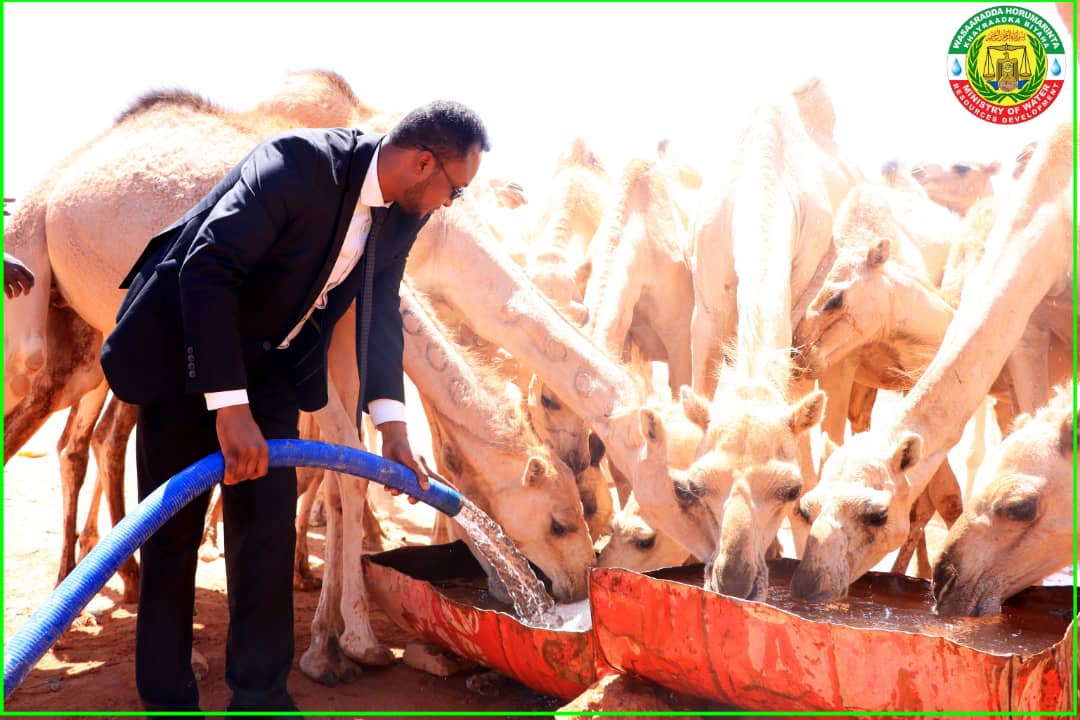 Mowrdsl's tweet photo. DG @mhdirir open a new borehole near Buroa, Somaliland implemented @NRC_Norway and funded  King Salman Foundation. 
This is opportunity community life that area get enough water 
#SLWater https://t.co/mttadP0Jp3