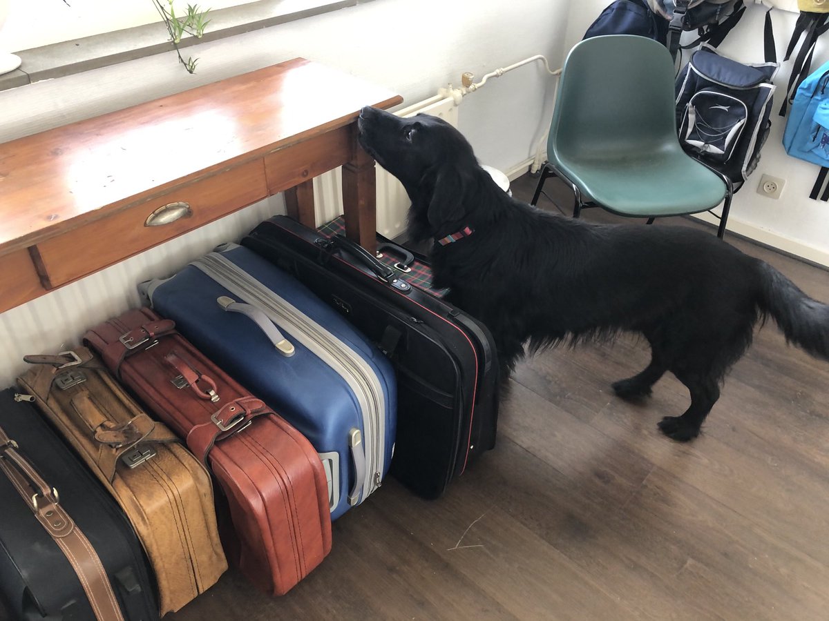 contact_DOG's tweet image. Detectie ⁦@DogOnTrack⁩ #vakantieplezier