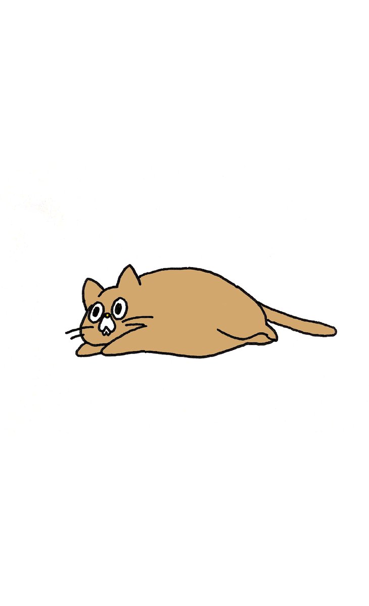 no humans white background simple background animal focus cat lying on stomach  illustration images