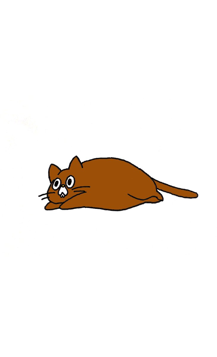 no humans white background simple background animal focus cat lying on stomach  illustration images