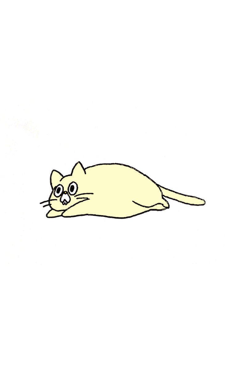 no humans white background simple background animal focus cat lying on stomach  illustration images