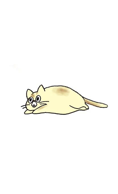 ①キャラメル
②チョコ
③ミルク
④①～③をまぜてできた弊ネコチャン 
