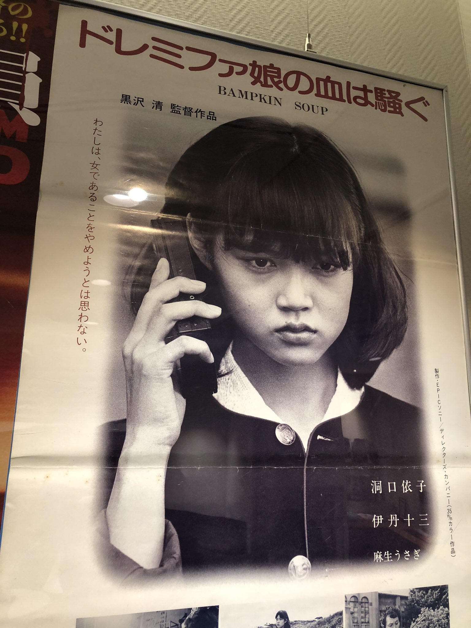 ドレミファ娘の血は騒ぐ 一般鑑賞券&学生鑑賞券 ドレミファ娘の血は騒ぐ 一般鑑賞券&学生鑑賞券