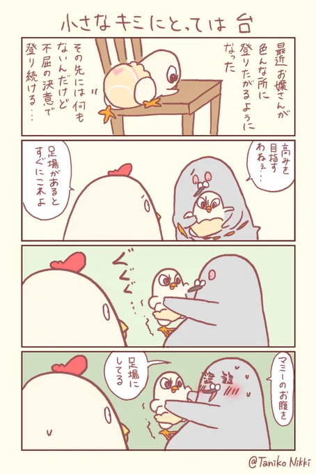 高みを目指す1歳児が足場に選んだのは…

#鶏さんの絵日記 