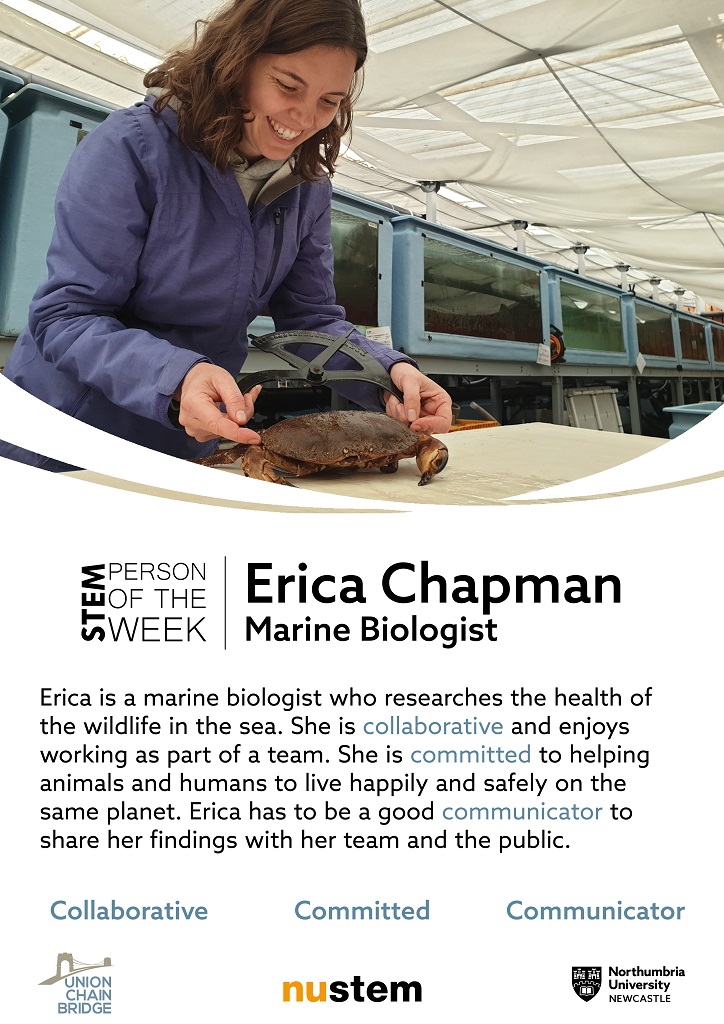 marinestation's tweet photo. Erica has been featured as a STEM Person of the Week as part of an activity for school-aged children by the Union Chain Bridge Project.
Do you have kids? Check out more online resources and find out more about the project from @Berwick_Museum  https://t.co/V00DnajeeU https://t.co/wL6y0i0IFS