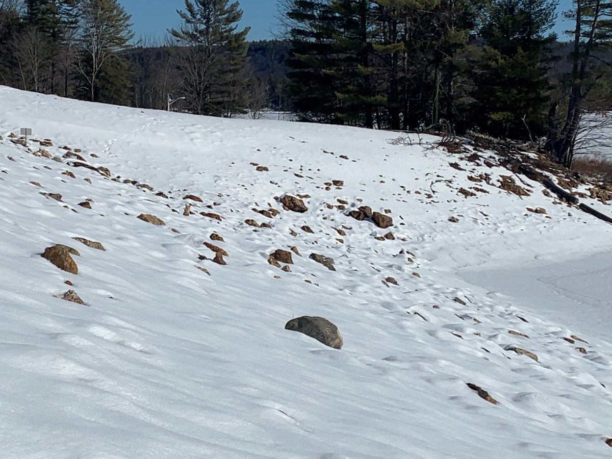 New England District tweet media