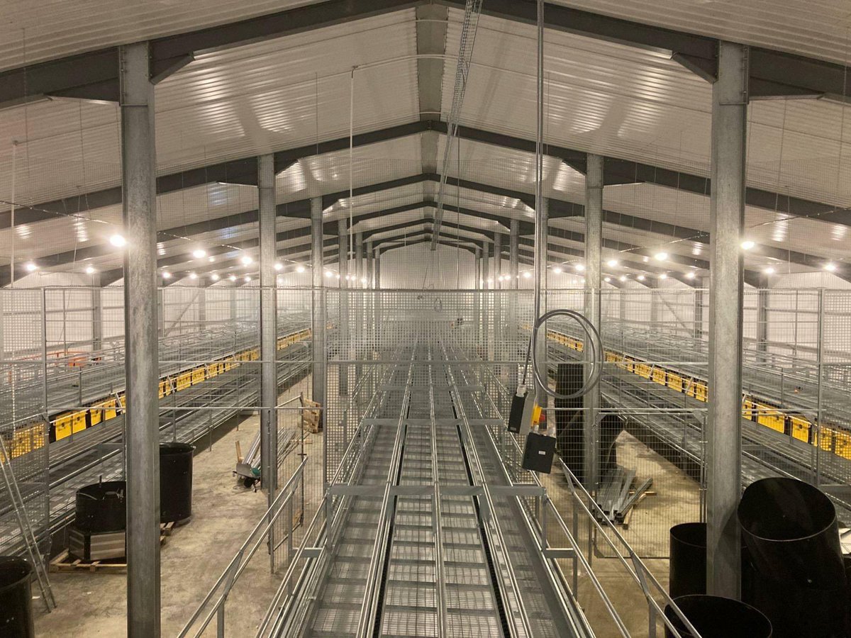 LA_Systems_Ltd's tweet photo. Not far off now๐๐
#layersytems #nearingcompletion #ukpoultry #landmeco #committedtopoultry https://t.co/yQGNrAvVZW
