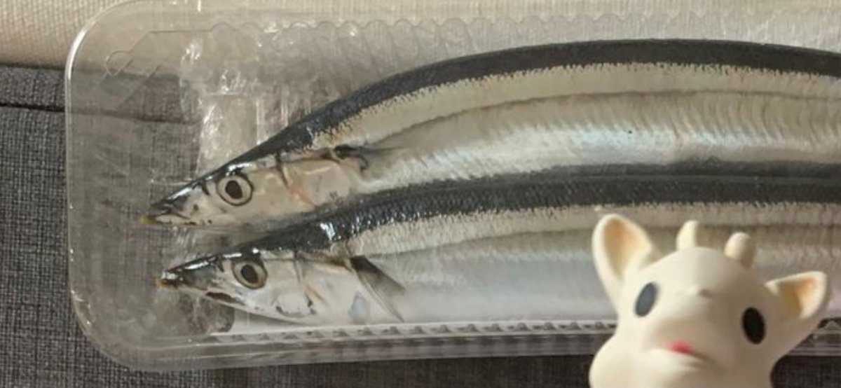 外務省漁業室 tweet media