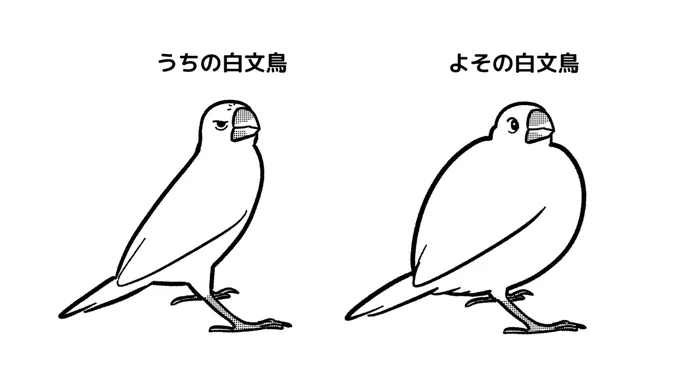 よその文鳥デカく見える症候群 