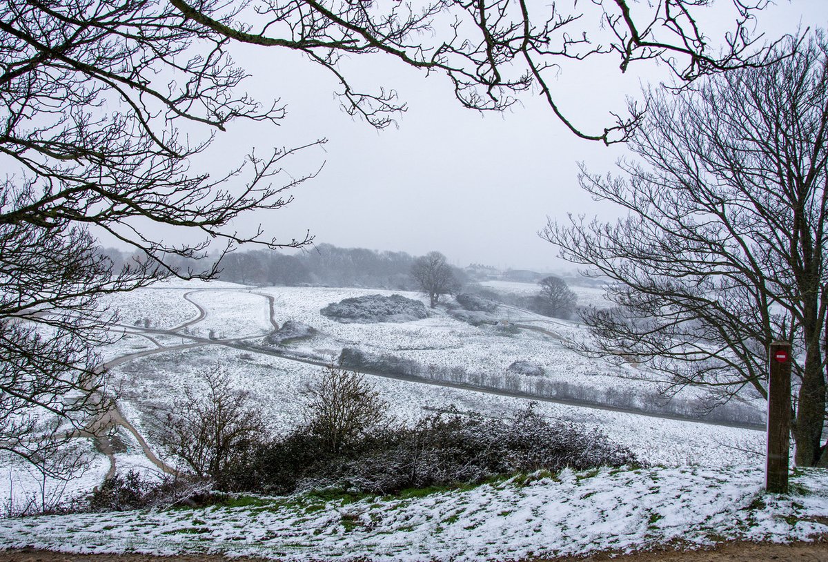 micwood281's tweet photo. @VisitEssex Snowy scene at Hadleigh Park. https://t.co/Qm75IOgT8M