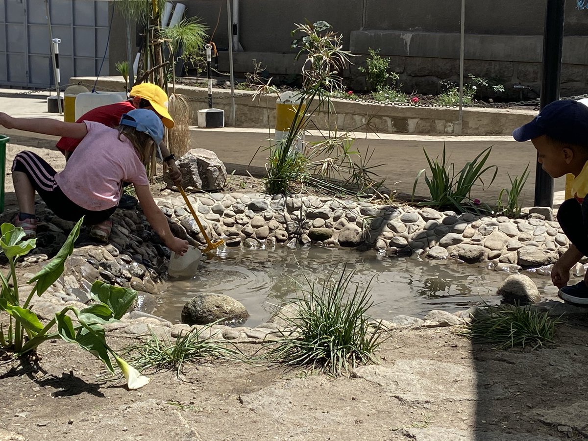 Laura Jo Evans tweet media