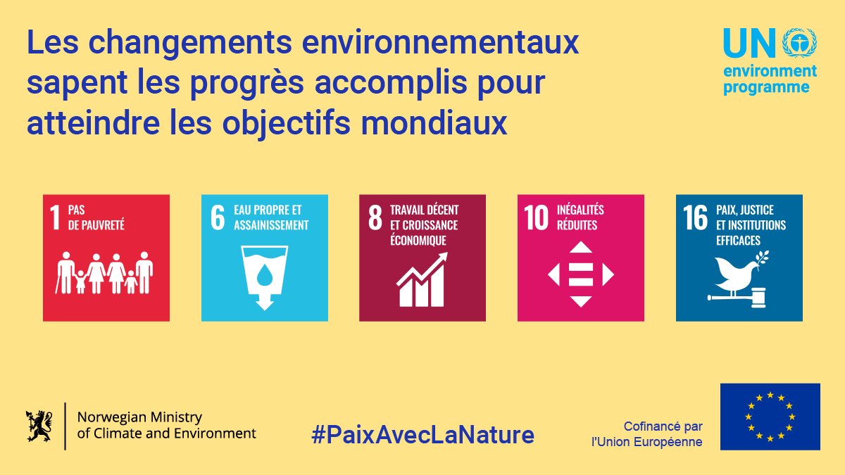 Programme des Nations Unies pour l’environnement tweet media