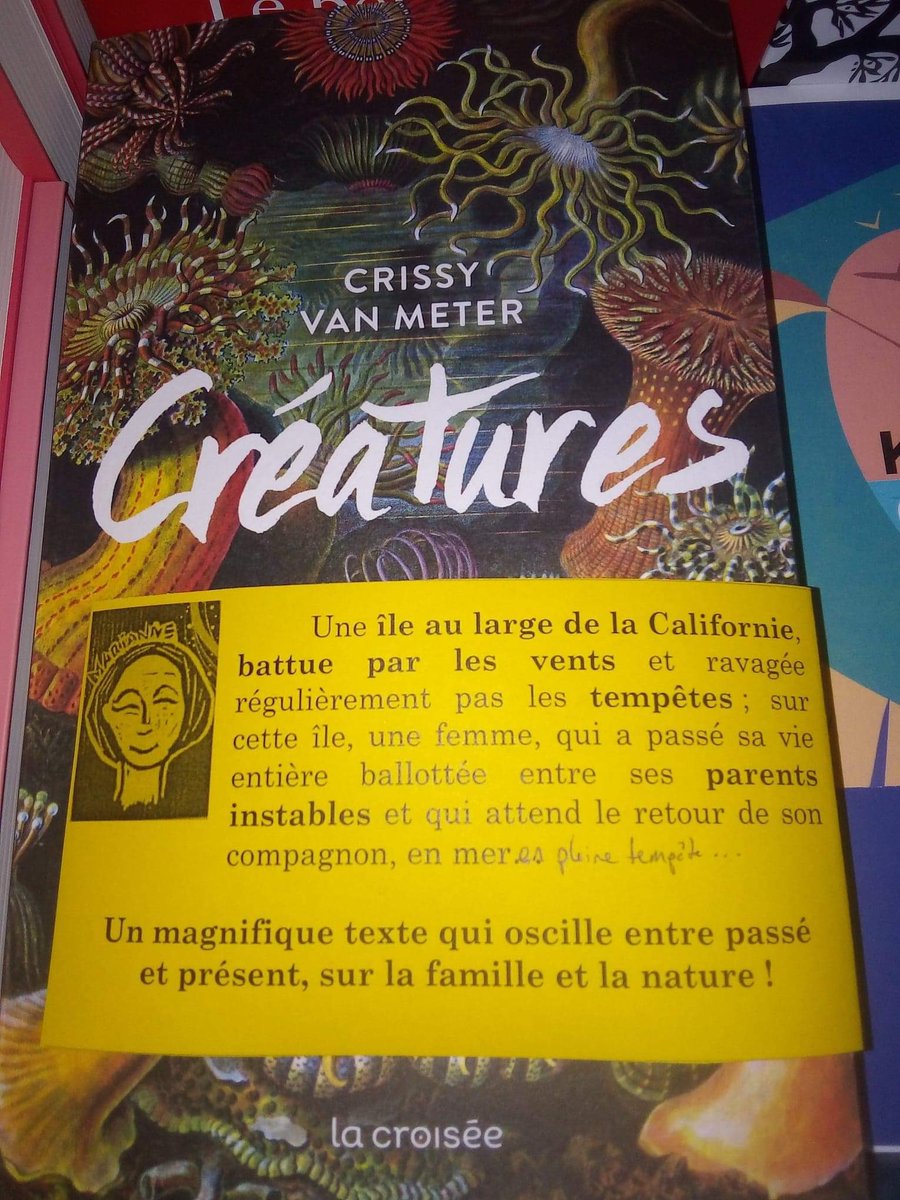 EdLacroisee's tweet photo. Le #coupdecoeurdelibraire nous vient aujourd’hui du nord et de la librairie @leslisieres et il est sur Créatures de @crissyvanmeter 🦑 Un grand 🙏🏼 aux équipes de Croix et de Villeneuve-d’Ascq 💜
#lalitteratureenmouvement
#crissyvanmeter
@MLaurePascaud @evelynecolas @LDauzier https://t.co/miA9OV7deA