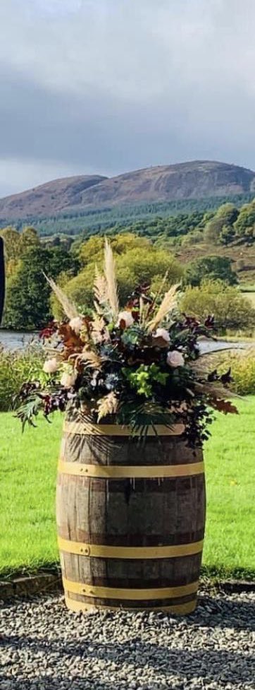 JennyClaylands's tweet photo. 💚Not yet created an account for our small sideline “Kippen Creations” but if you know of anyone getting wed in 2021/2022, ask them to have a look for us on Facebook or Instagram. We hire out milk churns,whisky barrels, milk bottles for flowers, gin bottles for centrepieces etc💚 https://t.co/TRzgPTSqV5
