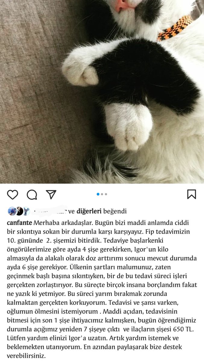 CanFante's tweet photo. Igor'un patisi size uzanmış durumda; hepinizi dayanışmaya çağırıyor. Hiç değilse bile, en azından paylaşıp daha fazla insana ulaşmamızı sağlayarak bize destek verebilirsiniz. https://t.co/h6sw0xvh3t