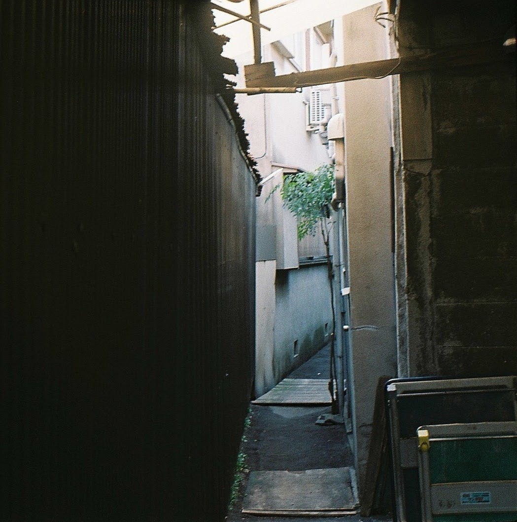 Grosses_Wasser's tweet image. 路地
#photography #RobotStar #Xenar38mm  #SUPERIAXTRA400 #フィルムカメラ #フィルム写真 #ましかく写真