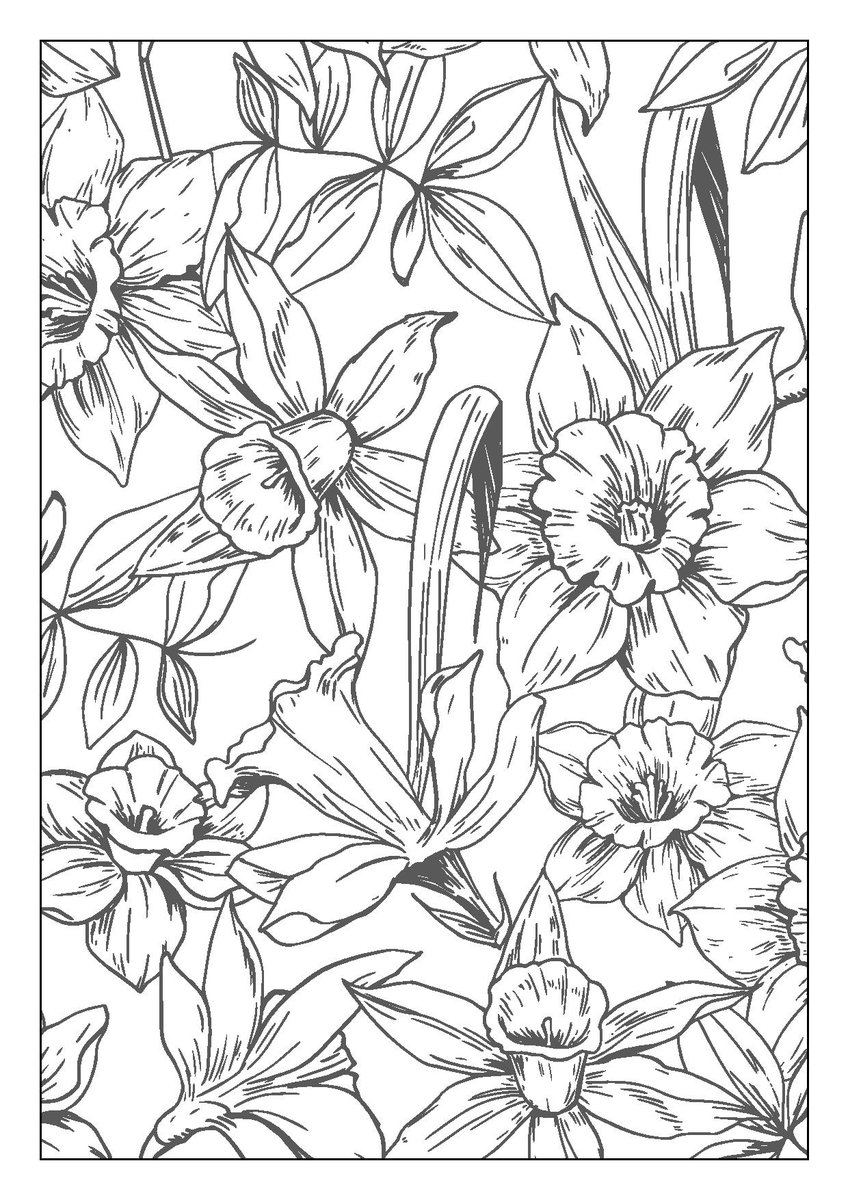 CaerphillyCBC tweet media