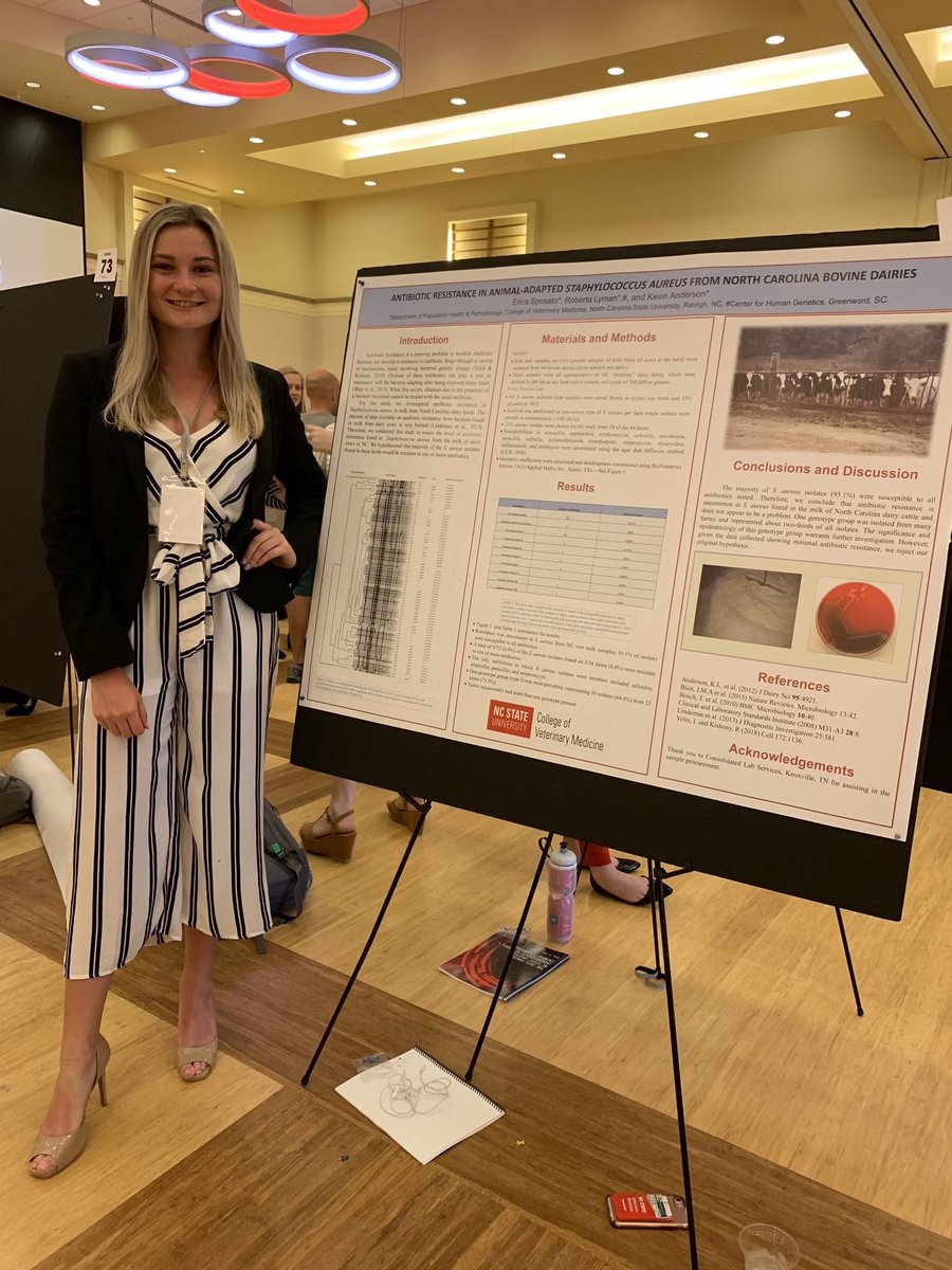 NCStateVetPAC's tweet photo. Erica Sposato, BCH major, VetPAC intern 2019-20, studied abroad behavior &amp; vet physiotherapy in UK &amp; undergrad researcher @NCStateVetMed @CVMResearch, donated food with Dr T @FeedthePackNCSU is admitted into @VetMedIllinois @pennvet! SO Proud! @NCStateCALS @NCState @ncsuagromeck https://t.co/gKam9hCo8i