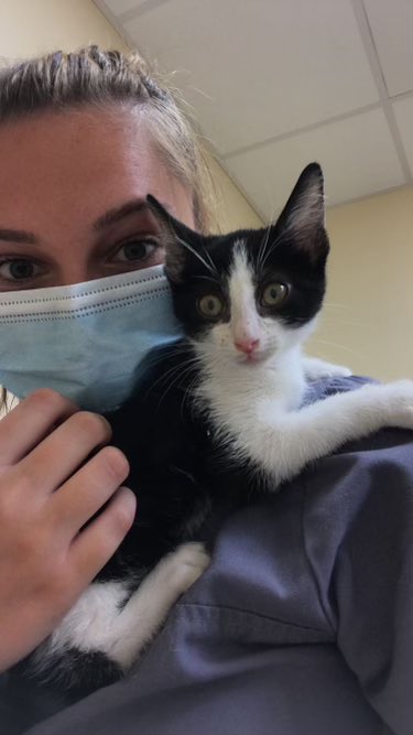 NCStateVetPAC's tweet photo. Erica Sposato, BCH major, VetPAC intern 2019-20, studied abroad behavior &amp; vet physiotherapy in UK &amp; undergrad researcher @NCStateVetMed @CVMResearch, donated food with Dr T @FeedthePackNCSU is admitted into @VetMedIllinois @pennvet! SO Proud! @NCStateCALS @NCState @ncsuagromeck https://t.co/gKam9hCo8i