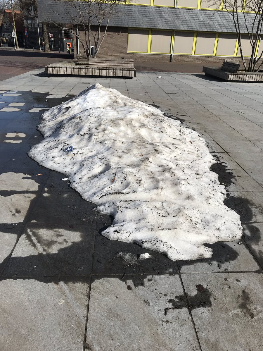 hanshissink's tweet photo. Echt hè, omdat ik voor de laatste keer met de hand over mijn hart strijk. Een laatste foto voor de echte sneeuwliefhebbers. De allerlaatste (hoop ik), zojuist gemaakt bij het stadhuis van @gemeenteDchem #doeiwinter #welkomlente https://t.co/DCGJxgqIrd