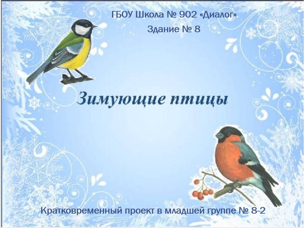 проект для детского сада краткосрочный. зимующие птицы средняя группа. лэпбук перелетные и зимующие птицы. проект проект зимующие птицы. экологическая акция покормите птиц зимой в детском саду.
