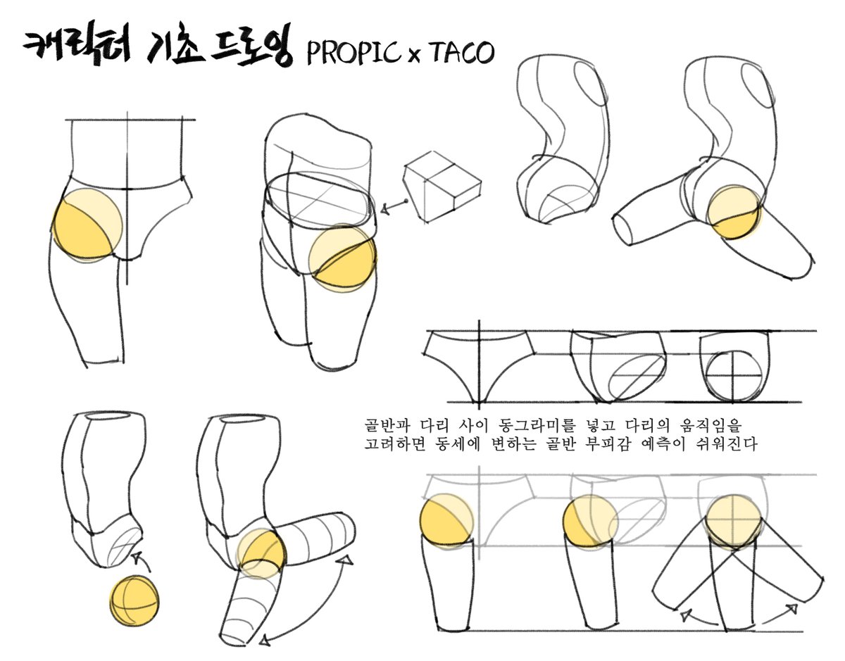 골반과 다리 사이에 원을 넣고 다리의 움직임을 고려하면 동세로 변하는 골반 부피감 예측이 쉬워진다 