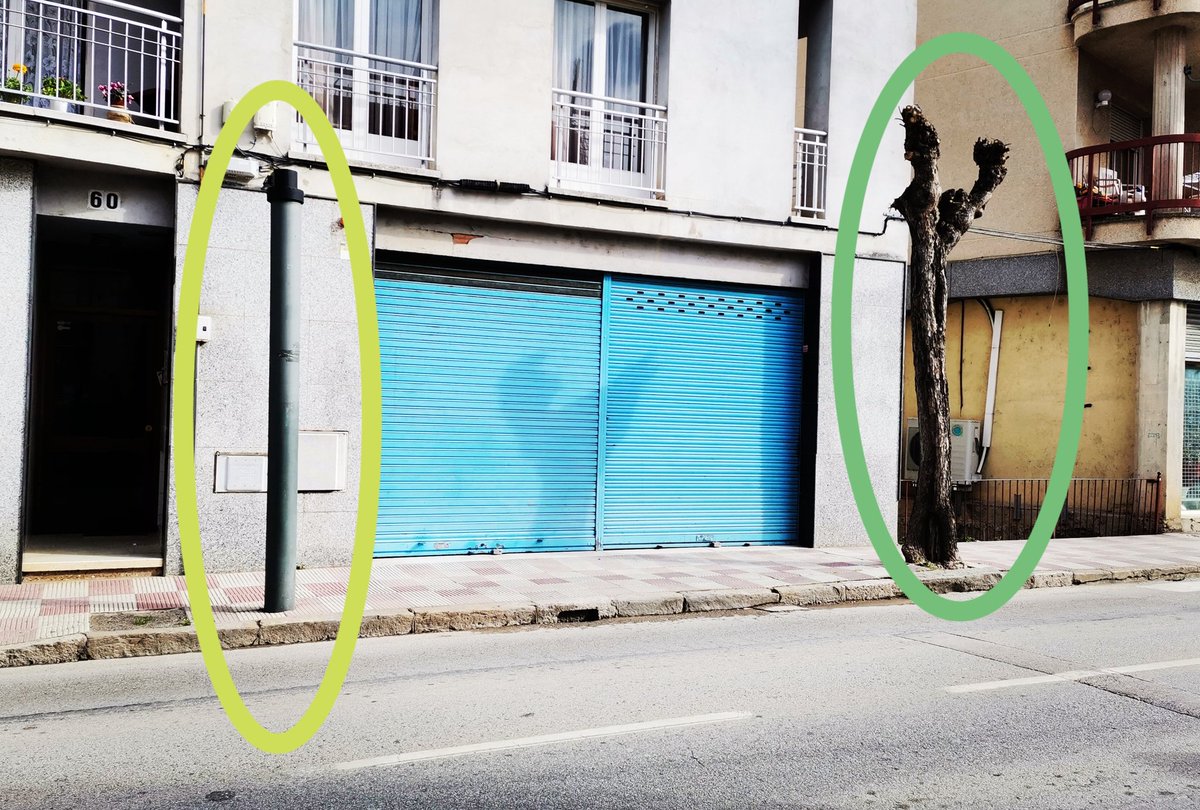 Quan deixem de veure un arbre com un QUI (ésser viu) i el convertim en un QUÈ (objecte) passen aquestes coses.
Foto: Un és un arbre l'altre és una farola.
Un #arbre caducifoli també ha de lluïr a l'hivern. Sinó no està fent la seva funció. #arboricultura #arbreurbà #harmonia