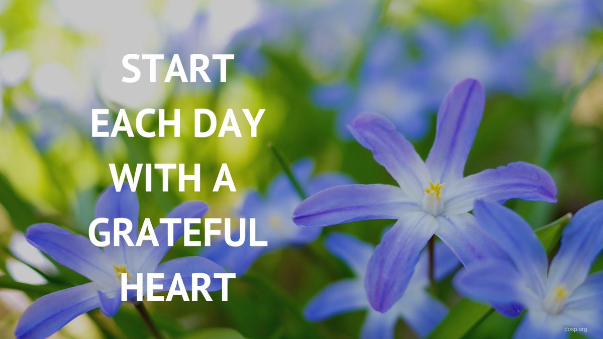 DioStPete's tweet photo. What are you thanking God for today? #DOSPthankfulthursday #courageouslyliving https://t.co/8RXGeOrHny