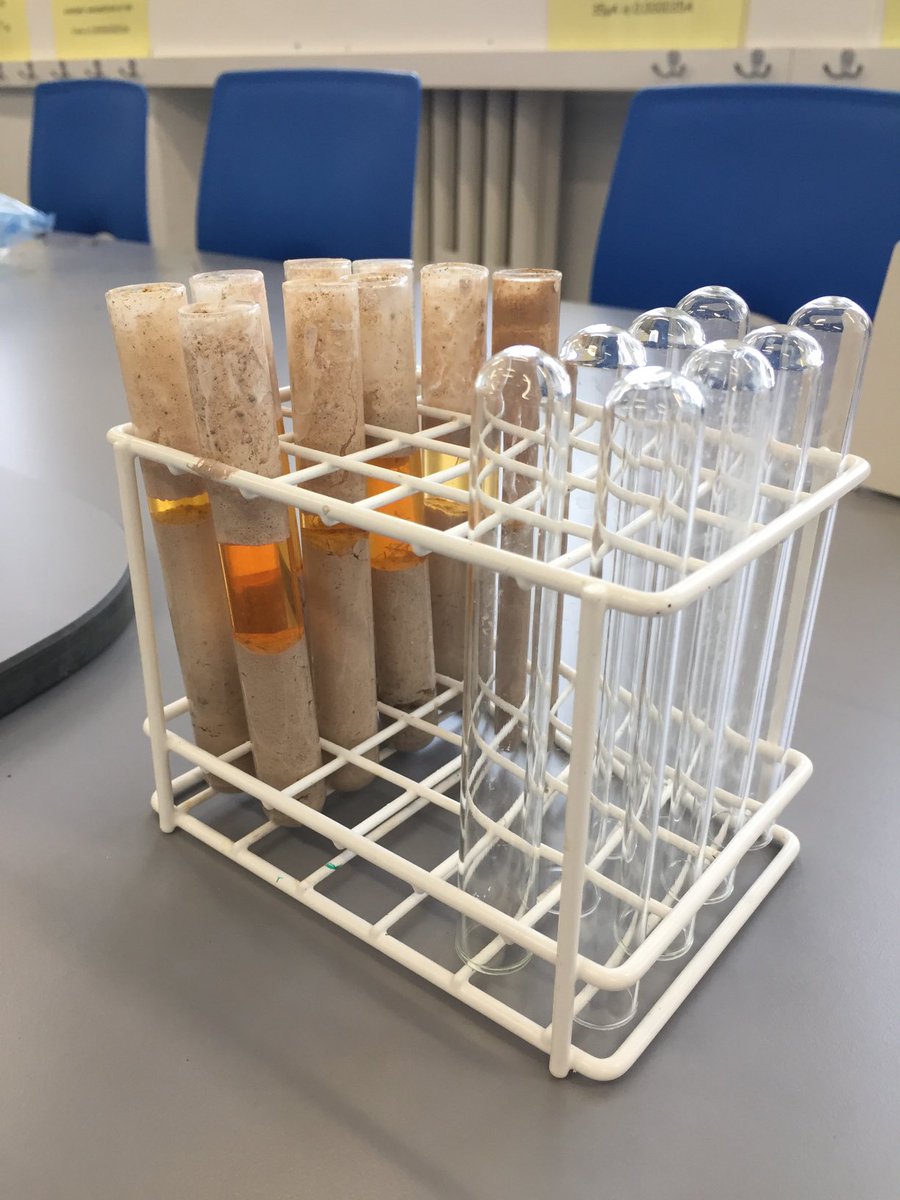GeographyGHS's tweet photo. A select few advanced higher geographers testing soil in the lab! We can’t wait to have everyone back in the classroom. #biosphere #lovegeography #sqaprep https://t.co/PA2GqlPEBt