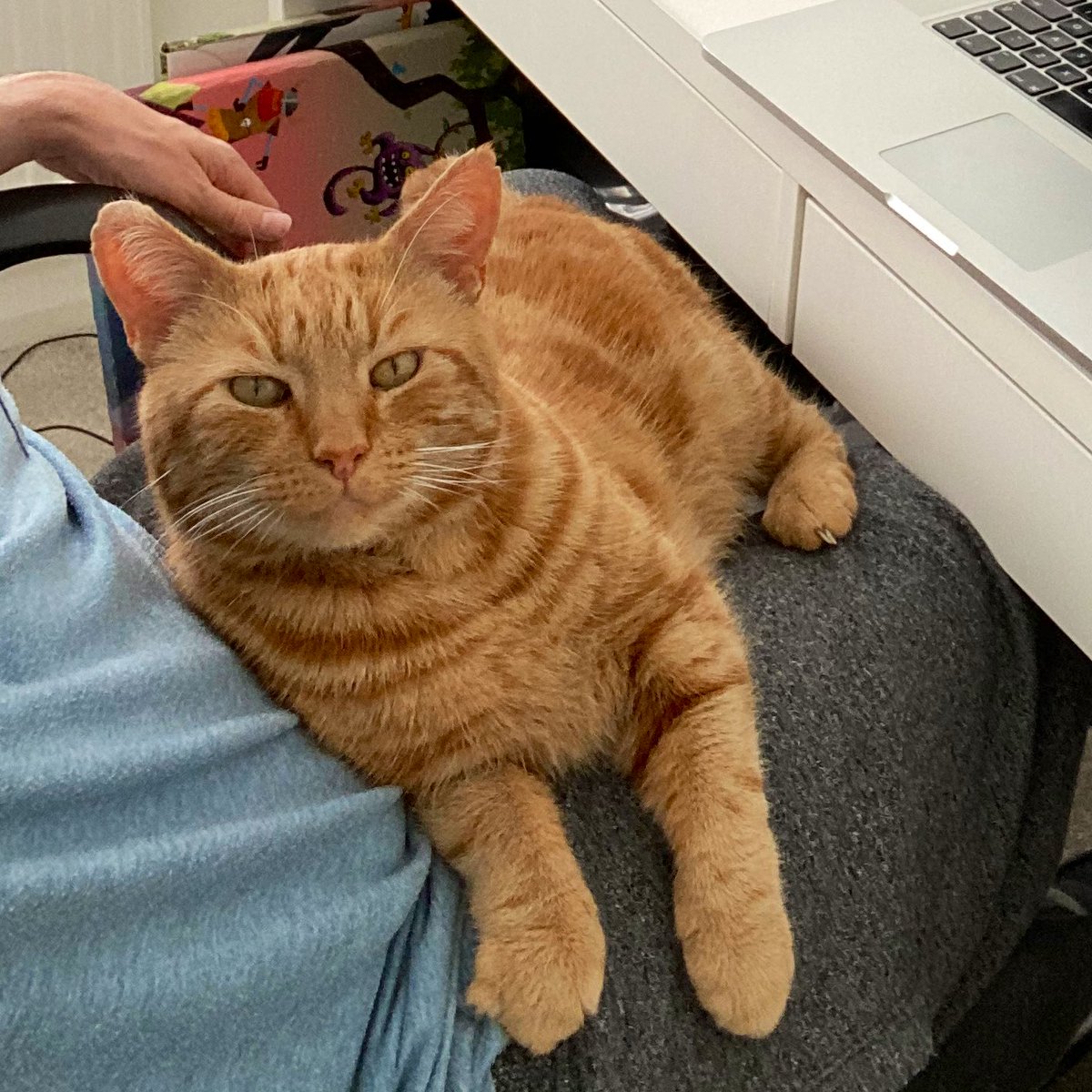 Hey there hooman 🤗