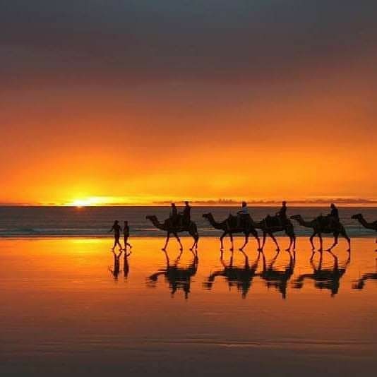 Soleilbleutours's tweet photo. The Kingdom of Morocco is the African country with the most sites classified as a UNESCO heritage 🏛️🇲🇦 Imperial cities: #Fez, #Marrakech, Rabat, Meknes. Tetouan the white dove. Essaouira, the well drawn. Ksar of Aït Ben Haddou. The archaeological site of Volubilis. Mazagan. https://t.co/PwTZ3TN85n