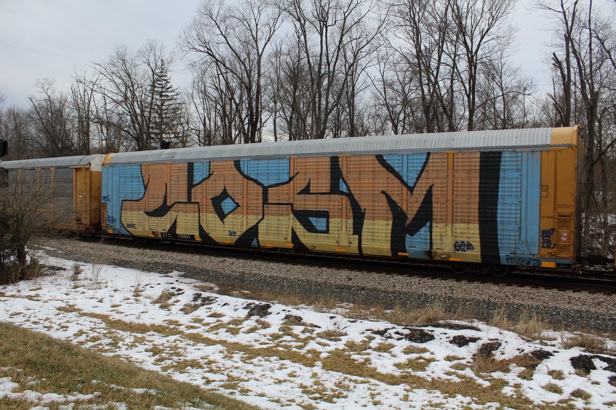 buckeye_and's tweet photo. And here at Taylorsville Metro Park (@MetroParksTweet) we have Q205 rolling by me at the Vandalia siding with a single leader and DPU and some fallen flag Autoracks and interesting graffiti. #railfan #ohiorailfan #vandaliaohio #ohio #csxtransportation #railroad https://t.co/FhwFWr4YIH